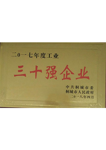 2017年度30強(qiáng)企業(yè)